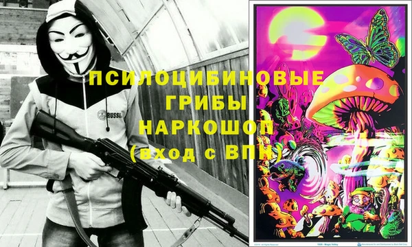 apvp Балахна