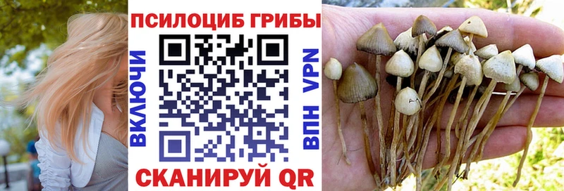 даркнет как зайти  Кувандык  Галлюциногенные грибы Cubensis  купить закладку 
